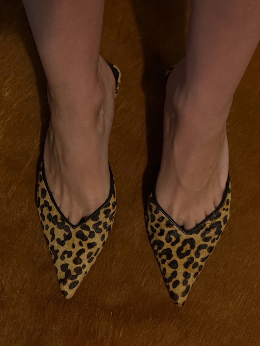 Steve Madden leopard mule heels size 8